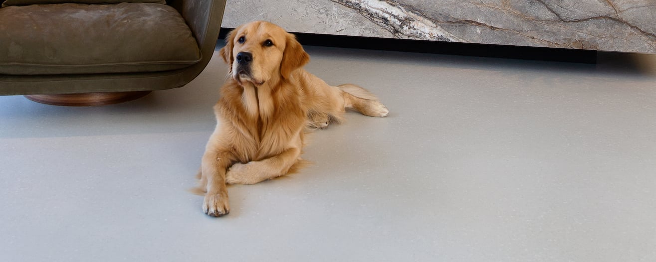 terrazzoflooring from senso microscreeds warm to the touch